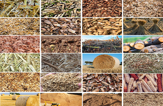biomass material